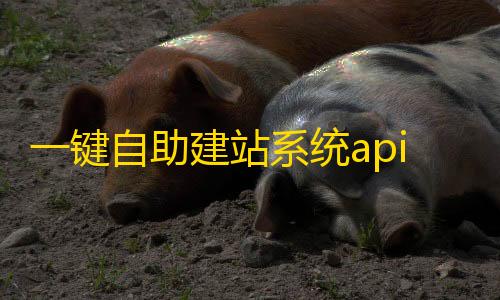 和平精英辅助购买网站一键自助建站系统api版系统源码